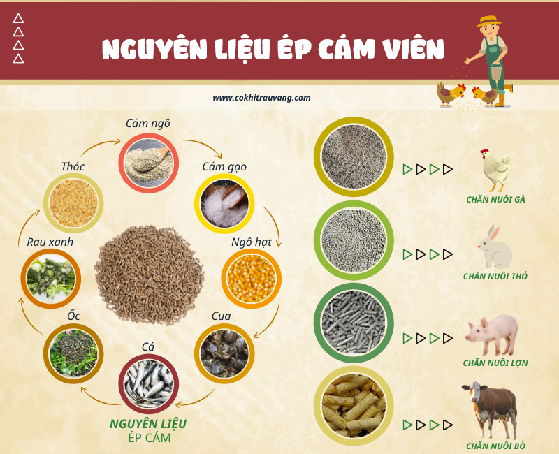 máy ép cám viên