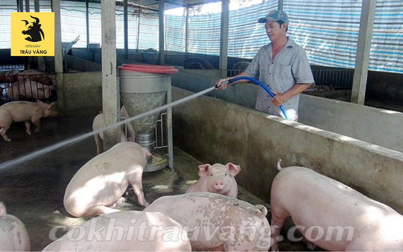 Một số kỹ thuật làm chuồng lợn phổ biến  Máy làm nông
