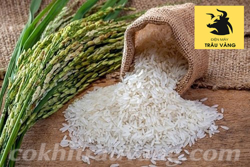 máy xát gạo liên hoàn