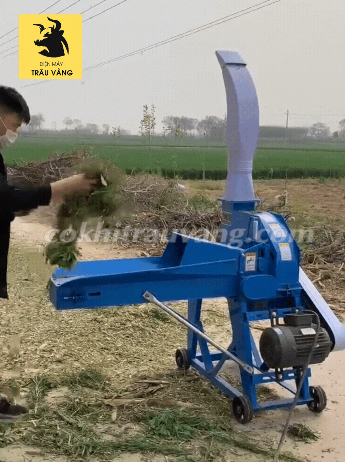 máy cắt băm cỏ liên hoàn