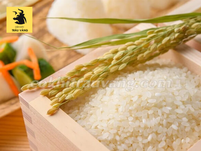 máy xay xát lúa gạo