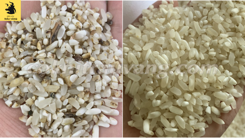 phân loại màu gạo