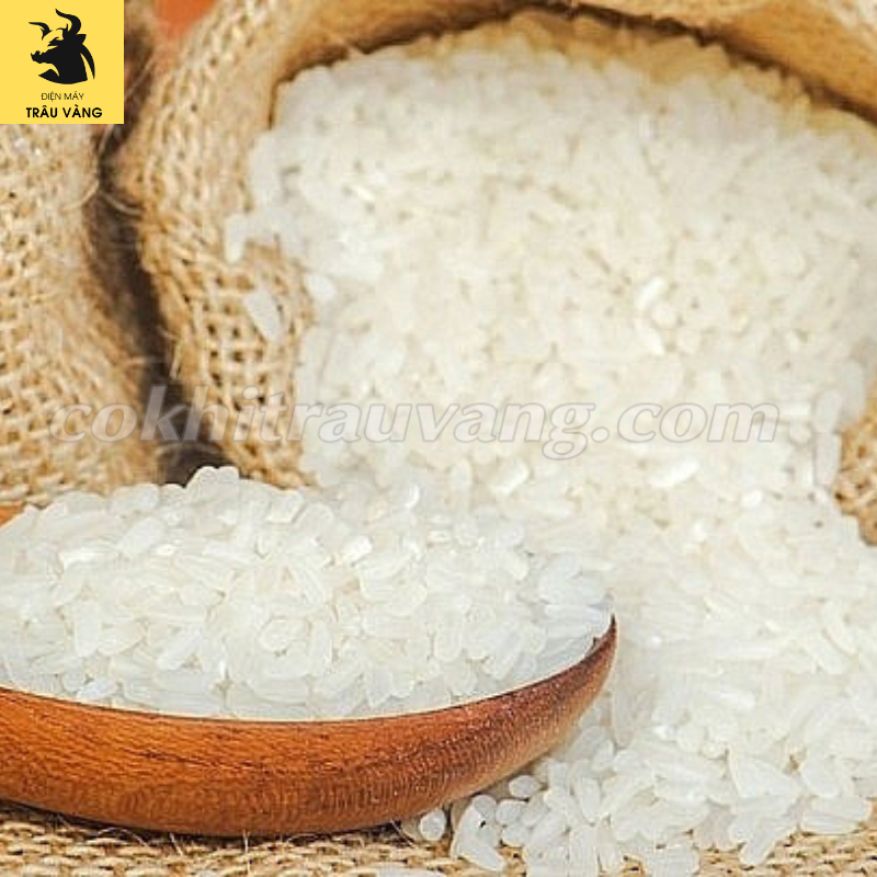 Gạo xuất khẩu của Việt Nam cần được đầu tư cho chất lượng