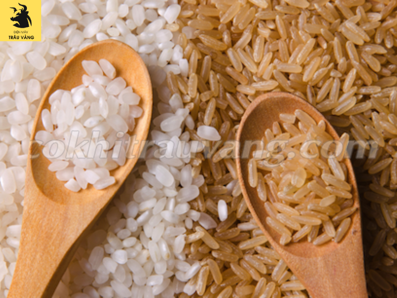 tiêu chuẩn gạo xuất khẩu